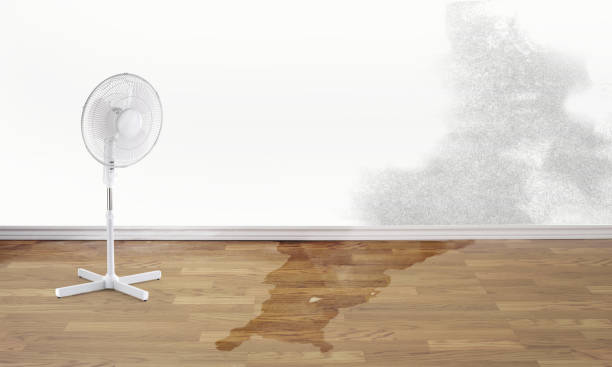 Best Flood restoration services  in Waymart, PA