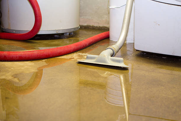 Best Professional water damage repair  in Waymart, PA
