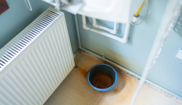 Best Water damage cleanup near me  in Waymart, PA