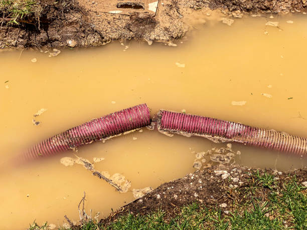 Best Mold removal after water damage  in Waymart, PA