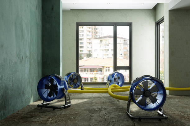 Reliable Waymart, PA Water damage restoration Solutions
